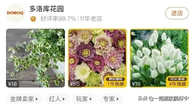 淘宝网花店(淘宝商城花卉市场)