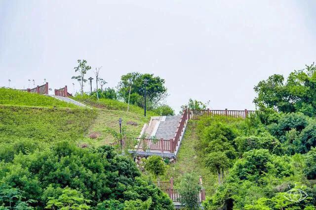 深圳石岩休闲会所（深圳十大免费特色的湖泊公园）