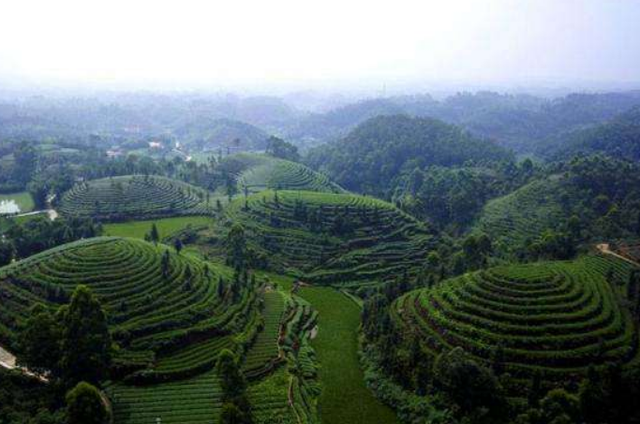 蜀是哪个省的简称，四川省为什么简称川或蜀（名字很多人读错了）