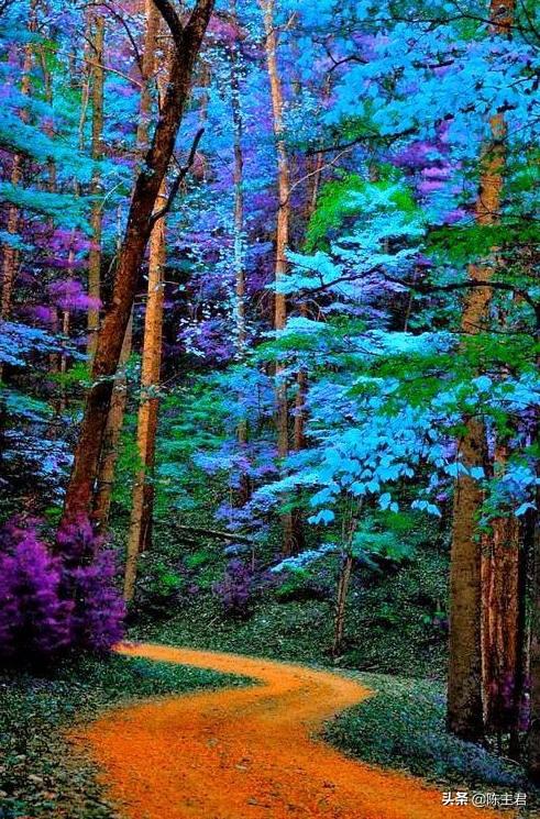 内蒙古人所说的风季是哪个季节，蒙古人的风季是什么季节（中国历史地理常识大全）