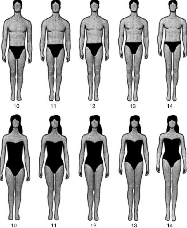 大腿小腿黄金比例，腿长怎么量（女生腿长怎么量）