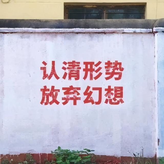 微信好看的背景图，微信朋友圈最好看背景图（个性、沙雕、励志文字控）