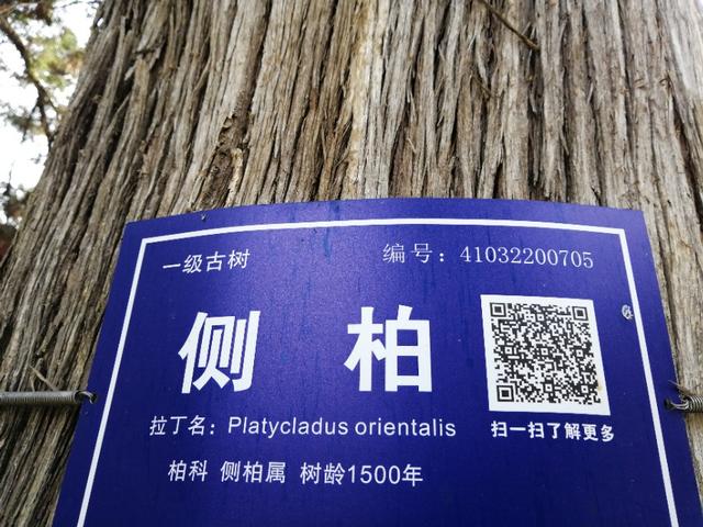 东汉天降陨石，刘秀坟的传说