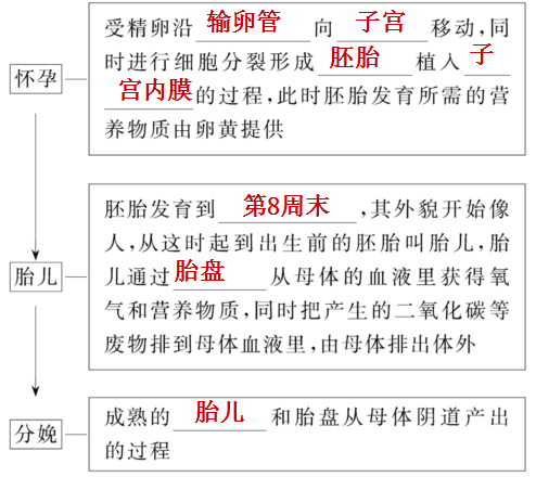 胚珠的发育和胚囊的形成总结，济南版生物八年级上册知识点总结