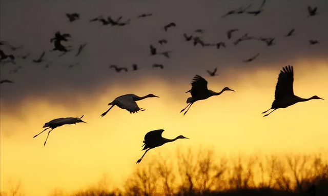 日薄西山造句，日薄西山的意思（一天一个成语：日暮穷途）