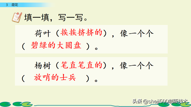 莲蓬的蓬是不是读轻声，莲蓬的蓬为什么读轻声（部编版语文三年级下册第3课《荷花》图文讲解）