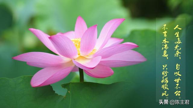 表达心累又无奈的说说，压抑憋屈的心情说说（伤感心累无奈的说说）