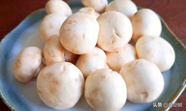 口蘑是什么蘑菇，口蘑是什么样子（老人孩子常吃好处多）