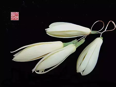 茉莉花的功效，茉莉花的功效与作用泡水喝的功效（因为它气机清灵啊）