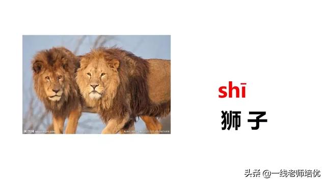 音序是什么?音节又是什么，音序是什么（小学汉语拼音——整体认读音节）