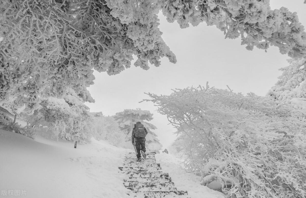 黄山旅游攻略（让美景一处不落，省时省力）