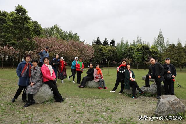 最简单能令人放松心情的图片 偶尔防空一下自己，让人心情放松的图片（醉倒在那片春色里）