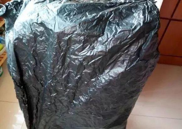 最漂亮的棒棒糖图片，如何画出漂亮的棒棒糖（长寿花半年养成“长寿树”）