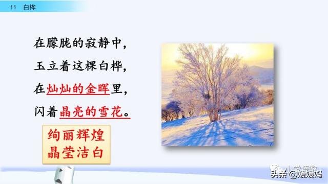 悠扬的近义词，“悠扬”的近义词是什么（四年级下册语文第11课《白桦》图文详解及同步练习）