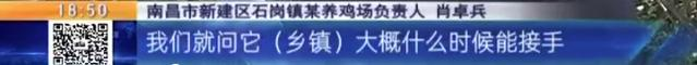 养鸡场投资多少钱，养1000只鸡需投资多少（男子投资200万元的养鸡场）