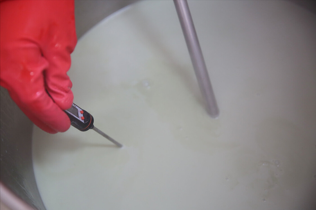 白醋做豆腐的详细方法窍门，白醋点豆腐的做法窍门（做法简单一学就会）