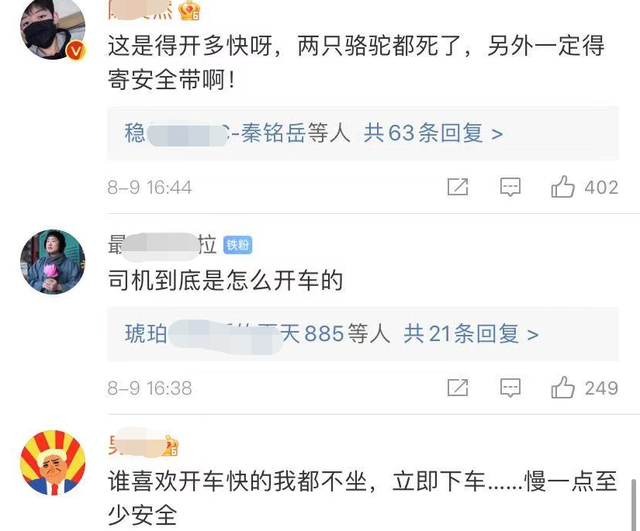 于月仙车祸原因，谢大脚于月仙车祸原因（座驾凌晨与骆驼相撞）