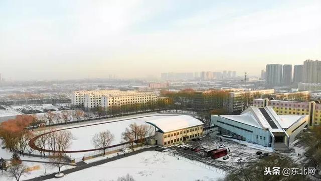 东北林业大学林学院,东北林业大学林学院的专业介绍(哈尔滨这四所高校实力爆表) 东北林业大学林学院,东北林业大学林学院的专业介绍(哈尔滨这四所高校实力爆表)