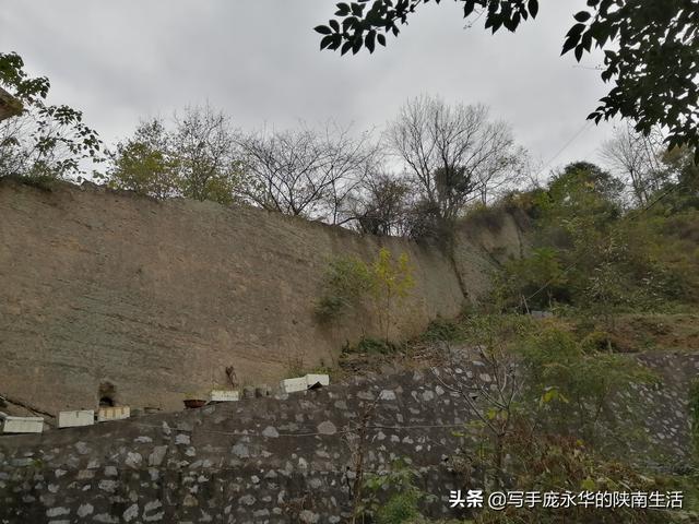 蔡伦墓张骞墓均位于哪里，武侯墓蔡伦墓张骞墓均位于什么地方（我游览陕甘100处古迹）