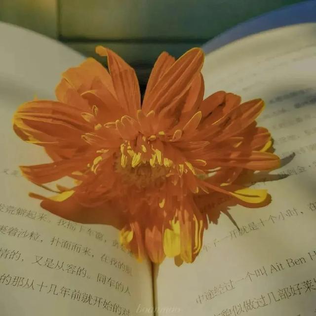 超赞的朋友圈背景图 背景图 月亮和星星会不会互道心事,超赞的朋友圈背景图怎么弄(好看的朋友圈背景图) 超赞的朋友圈背景图 背景图 月亮和星星会不会互道心事,超赞的朋友圈背景图怎么弄(好看的朋友圈背景图)