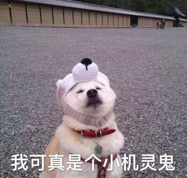 熟悉一词如何理解呢,熟悉的意思 熟悉一词如何理解呢,熟悉的意思