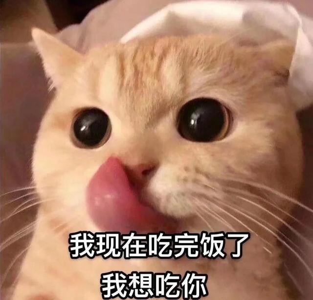 一对可爱狗狗表情包图集，情侣专用狗狗猫猫可可爱爱沙雕表情包