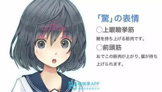 如何画小人表情的简笔画，如何画小人表情的简笔画图片（动漫人物表情的绘制教程）