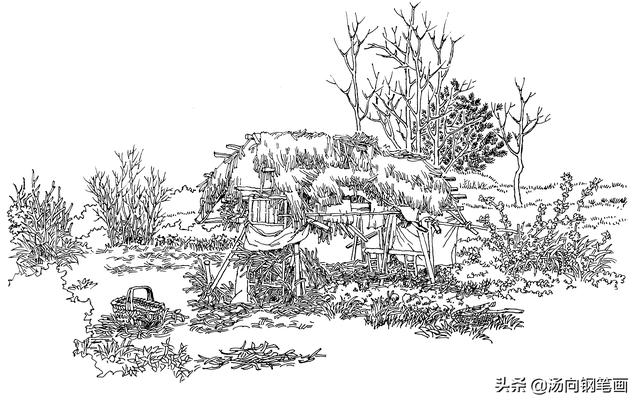 钢笔画入门基本步骤，钢笔画入门步骤详解