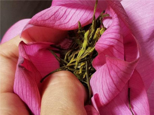 不锈钢盆可以放烤箱吗，烤箱里可以放不锈钢盆吗（10种花最养人）