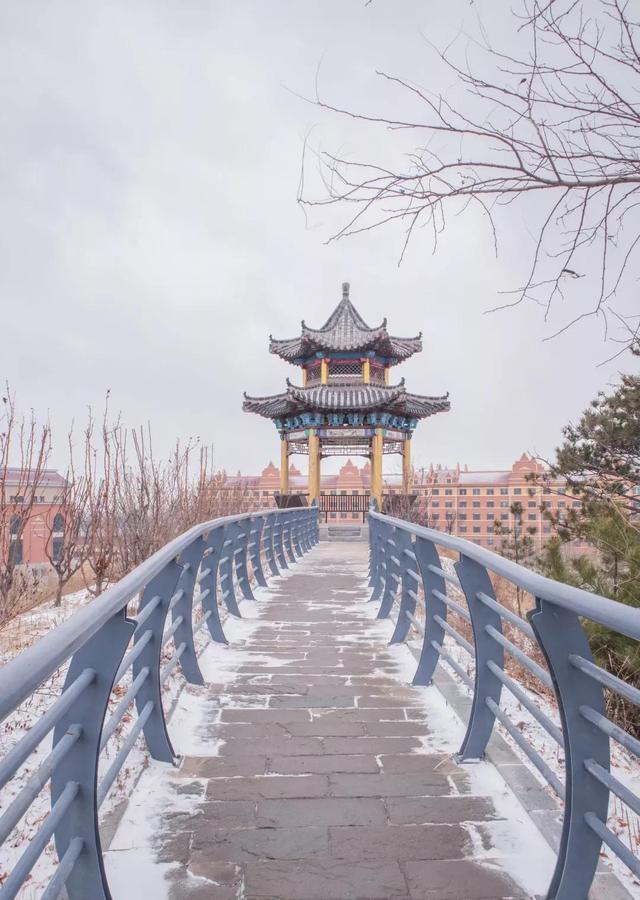 渤海大学是211吗，渤海大学是什么大学（辽宁省普通高等院校）