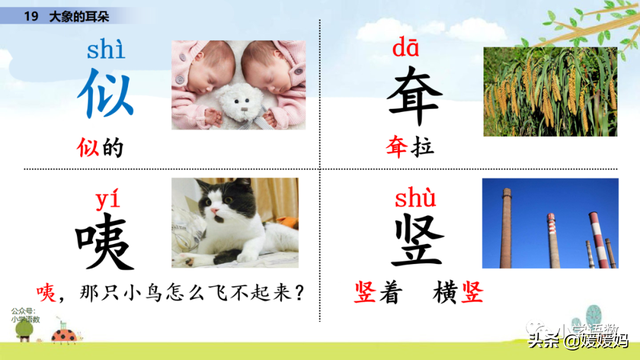 慢慢拼音怎么读，慢慢拼音（二年级下册语文课文19《大象的耳朵》图文详解及同步练习）