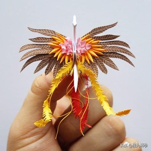 如何做一个千纸鹤，怎样才能做千纸鹤（一千天叠出1000种纸鹤）
