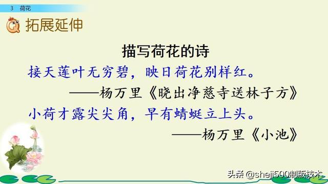 莲蓬的蓬是不是读轻声，莲蓬的蓬为什么读轻声（部编版语文三年级下册第3课《荷花》图文讲解）