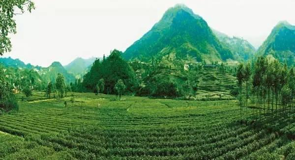 甘肃陇南女人特点，陇南的特点（甘肃最漂亮的14个美女）