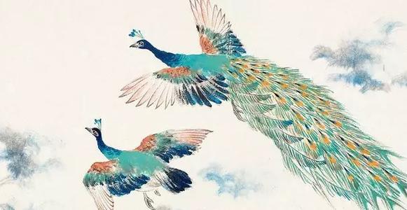 为什么孔雀东南飞，孔雀为什么东南飞（还在纠结孔雀为什么要向东南飞）
