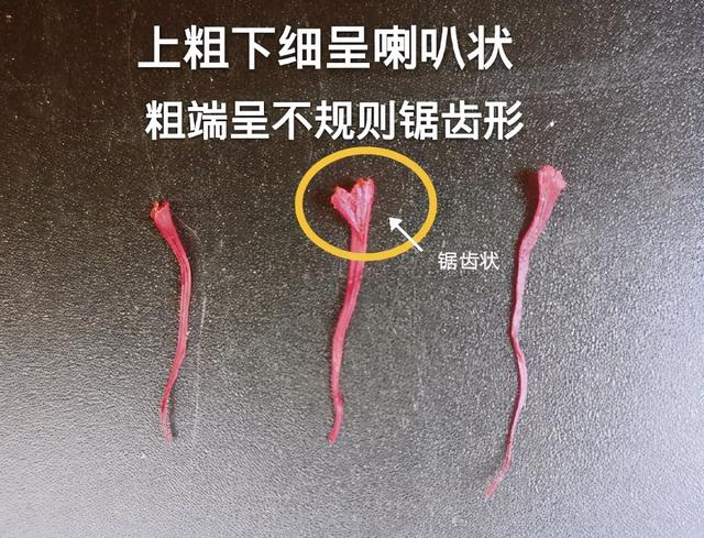 藏红花的真假识别方法，如何辨别藏红花真假（怎么分辨假藏红花）