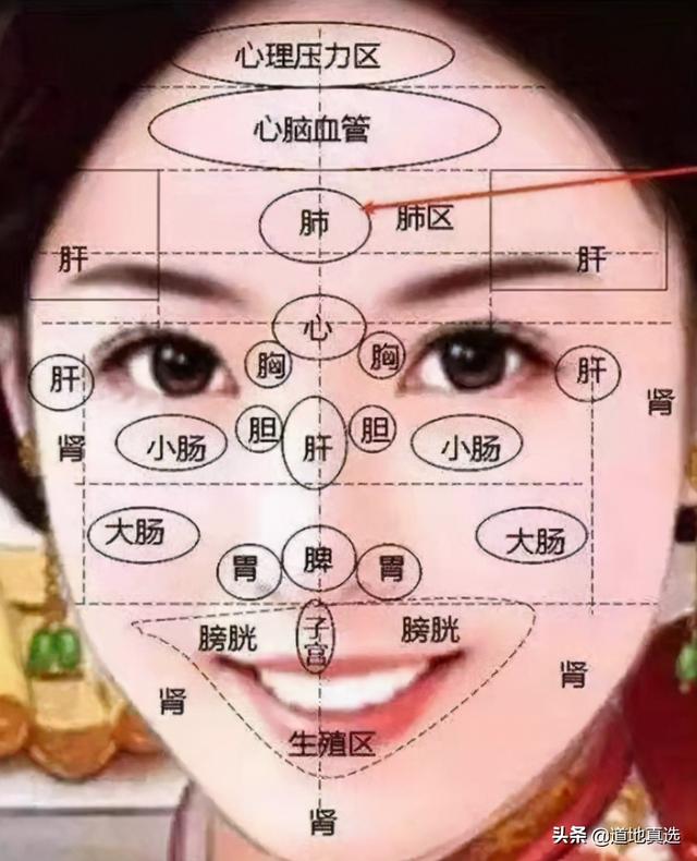 脸部各个部位名称叫什么，脸部位置名称图解（老中医面诊：从脸部五官看疾病）