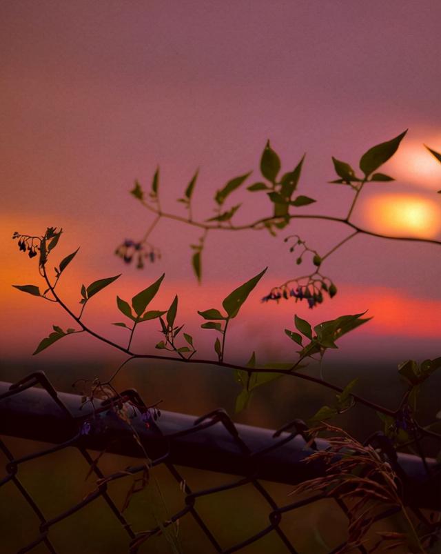 怀念过去的诗句，十首回忆诗词（感慨岁月催人老的古诗词）