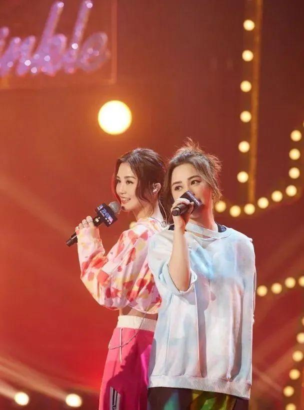 twins是什么意思，twins是什么意思翻译（不只有动人的歌曲）