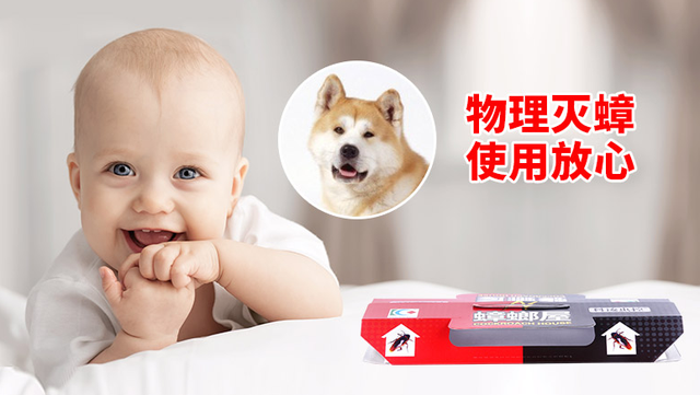 厨房有蟑螂怎么办，家里厨房有蟑螂怎么能根除（蟑螂家族连根拔起）