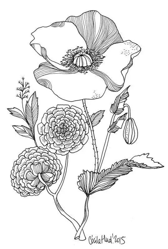 简单的花怎么画，如何画小花花简笔画（一朵花，简单的几笔就可以了）