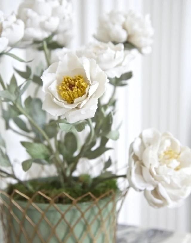 香皂花是什么材质做的，肥皂花是什么材料的（最适合懒人养的花）