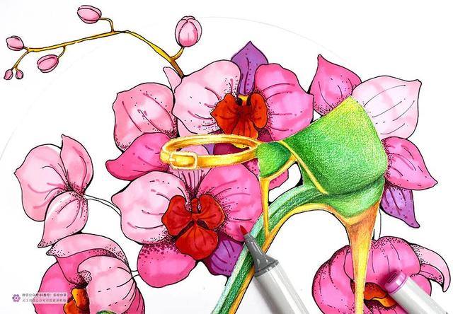 用圆规画出的精美图案，用圆规和直尺画出美丽图案（创意儿童画教程，优雅的高跟鞋）