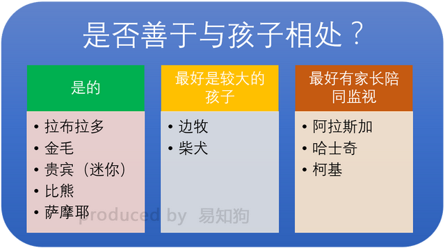 常见犬类品种大全，犬分类品种大全（国内十大流行犬种横向对比）