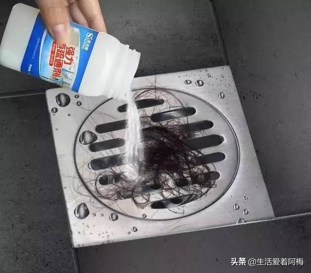 霸王芋，卫生间潮湿、发霉、不通风（霸王芋的养殖方法和注意事项）