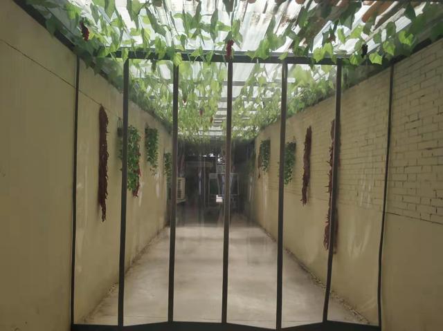 三门峡美食，三门峡美食手抄报（吃在三门峡之胡记六道菜馆）