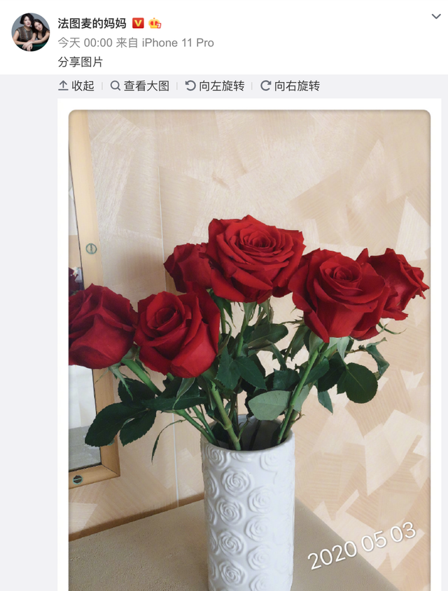 法图麦是什么意思，法图麦为什么叫法图麦（想和哈文“活到老作到老”）