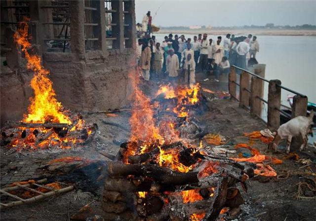 舍利子是什么东西，舍利子是什么东西科学解释（为啥容易形成舍利子）