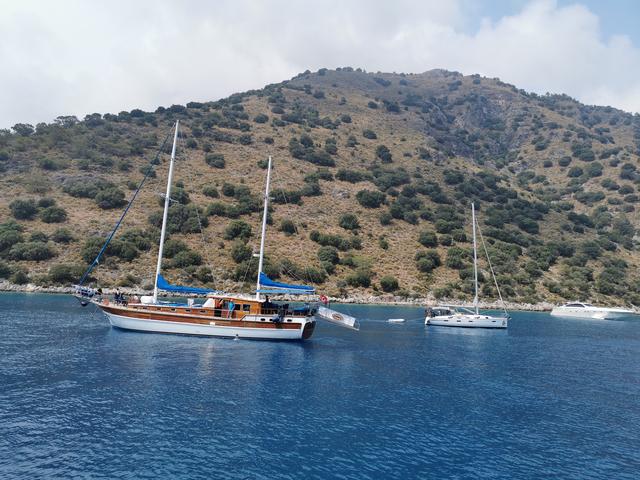 Diviner(占卜者)网名，Diviner(占卜者)微信昵称（环游土耳其<21>）