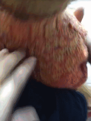 冬天狗在外面能冻死吗，快别说狗不怕冷了